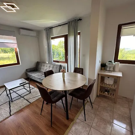 Apartman Nikola Topusko Exterior foto