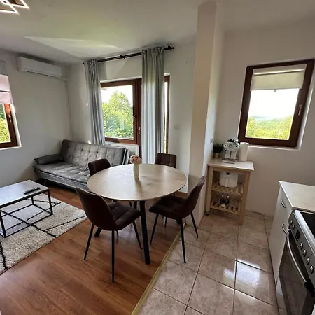 Apartman Nikola Topusko Exterior foto
